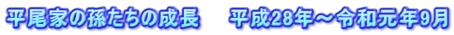 平尾家の孫たちの成長　　平成28年～令和元年9月