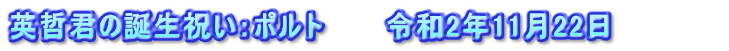 英哲君の誕生祝い：ポルト　　　令和2年11月22日　　　　　