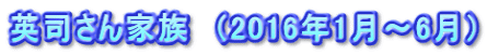 英司さん家族　（2016年1月～6月）